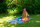 Amazonas Picknickdecke Ultra Light