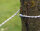 BasicNature Wäscheleinen-Expander
